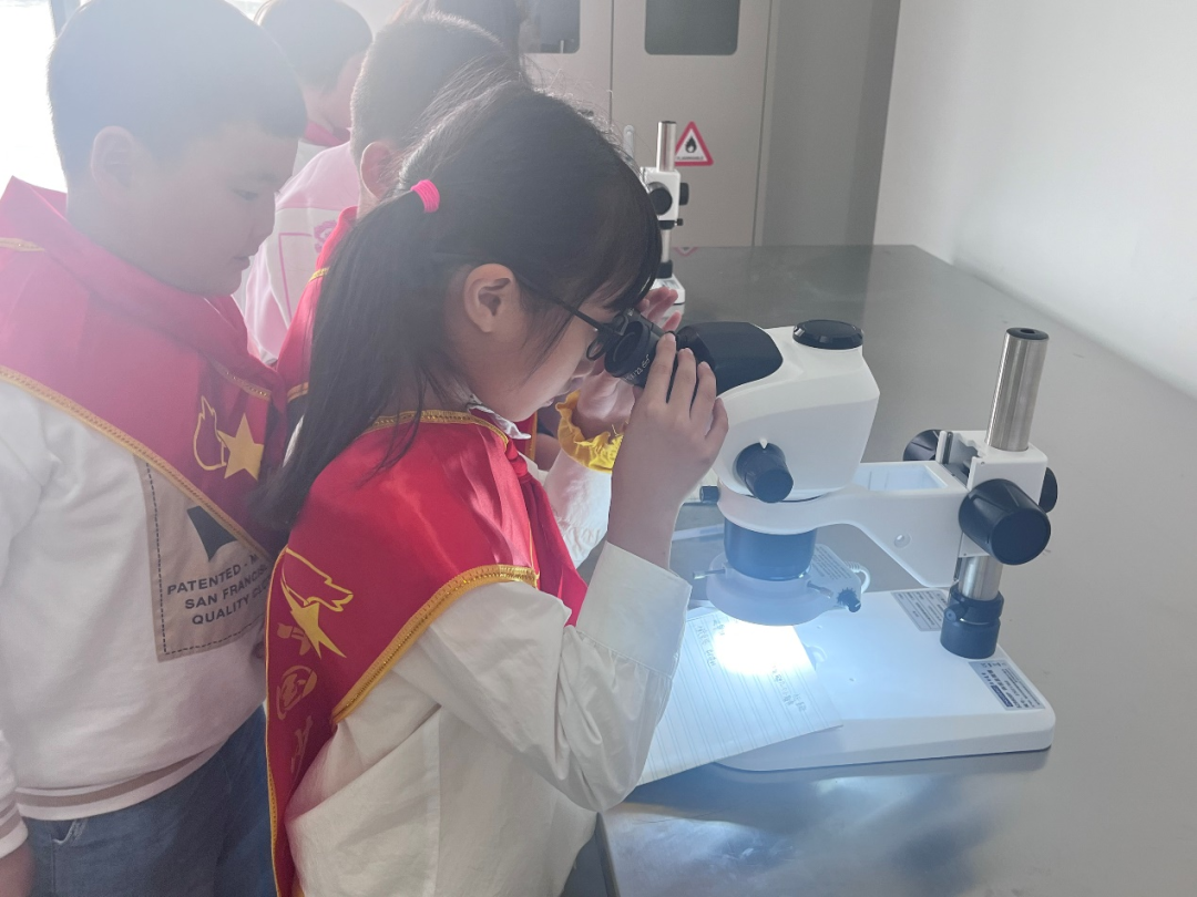 1699349488723081393.png 圖片10.png